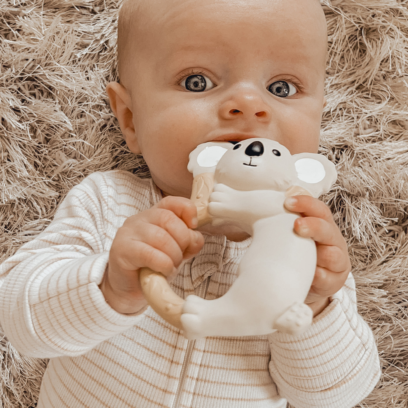 PREORDER Koala Natural Rubber Teether
