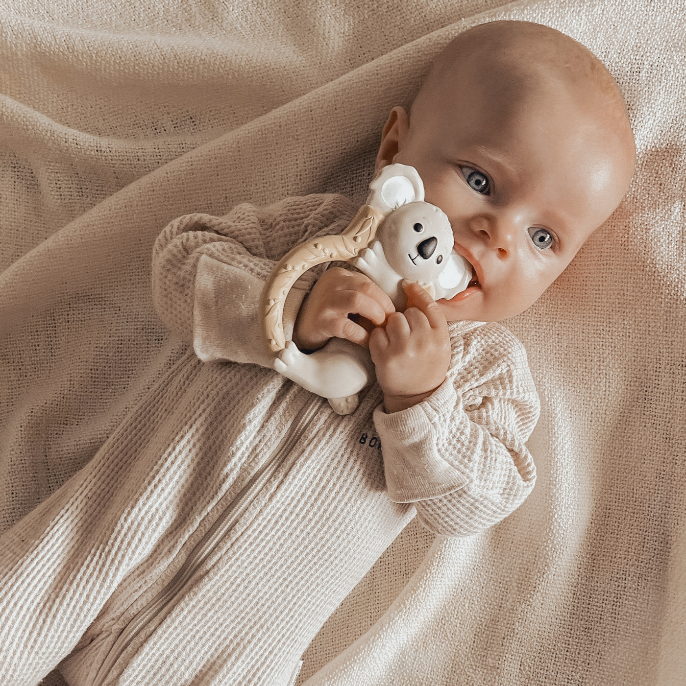 PREORDER Koala Natural Rubber Teether