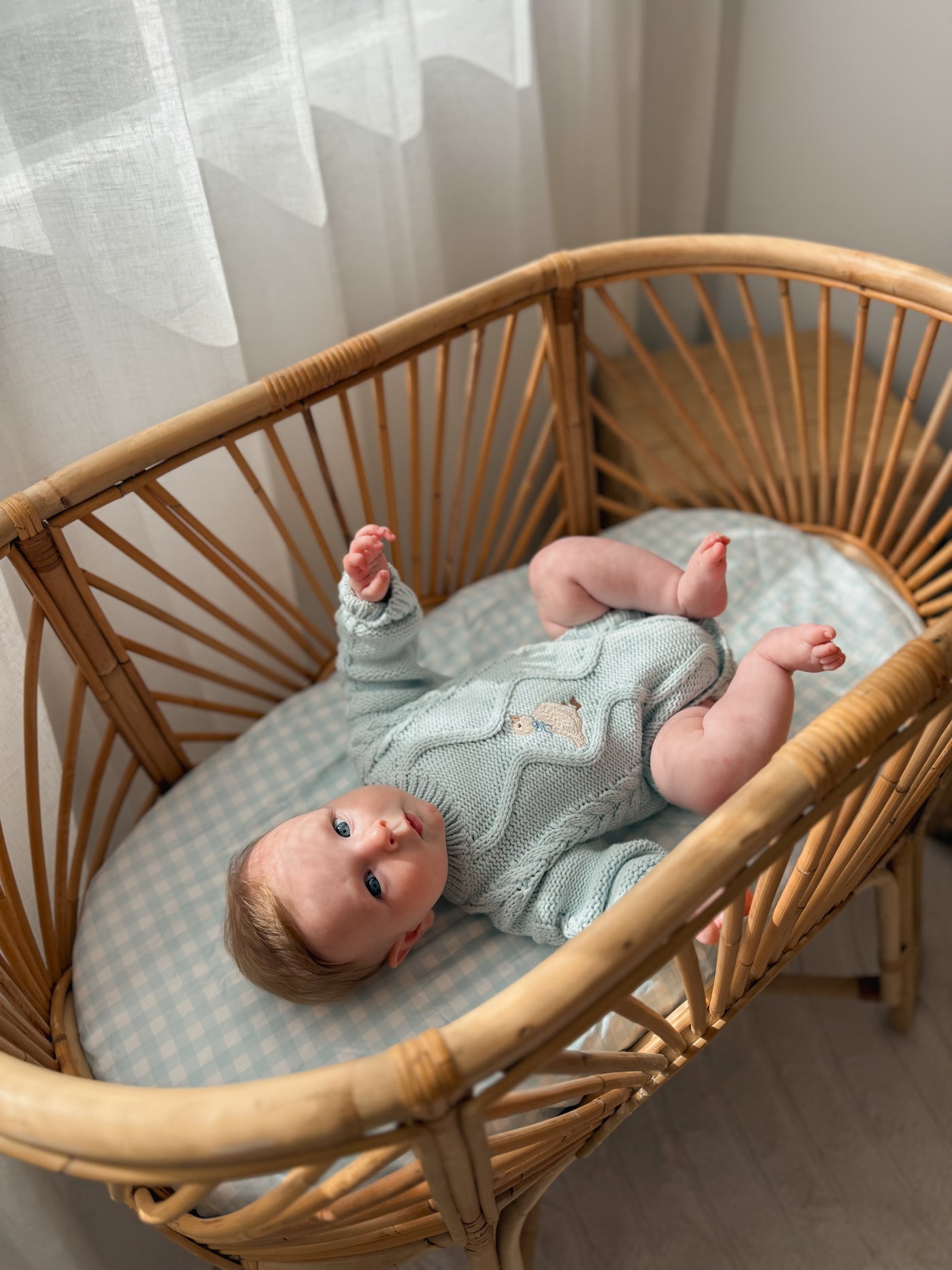 Waterproof Co Sleeper Fitted Sheet - Blue Gingham