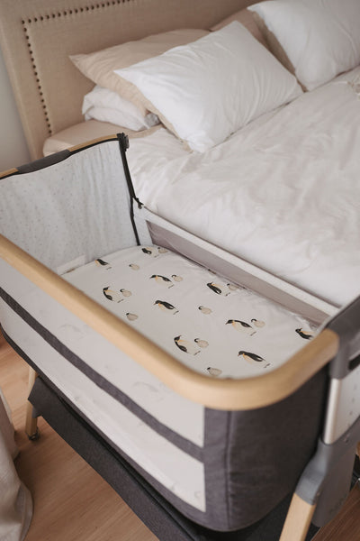 Waterproof Co Sleeper Fitted Sheet - Crosby