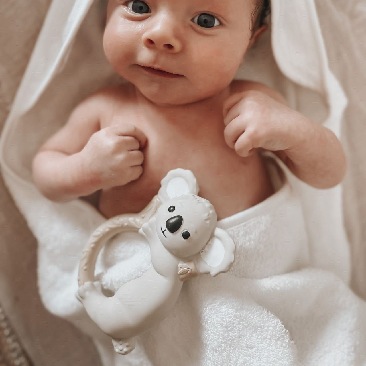 PREORDER Koala Natural Rubber Teether