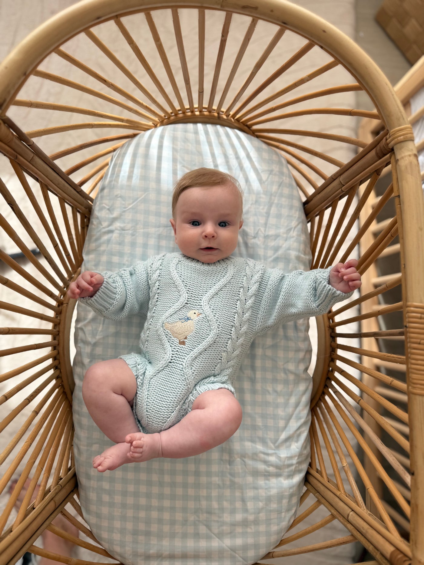 Waterproof Co Sleeper Fitted Sheet - Blue Gingham