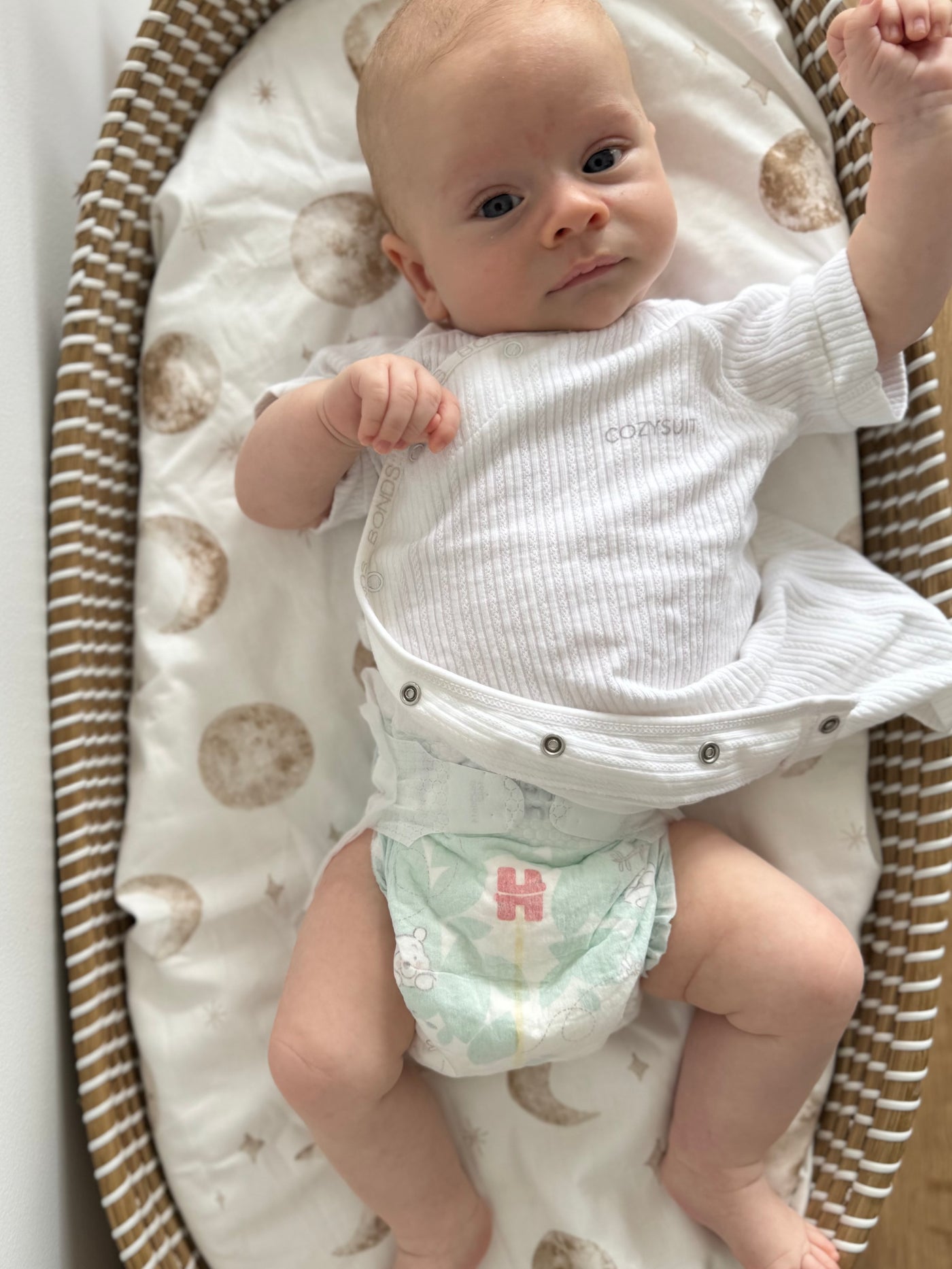 Waterproof Bassinet Fitted Sheet - Leo