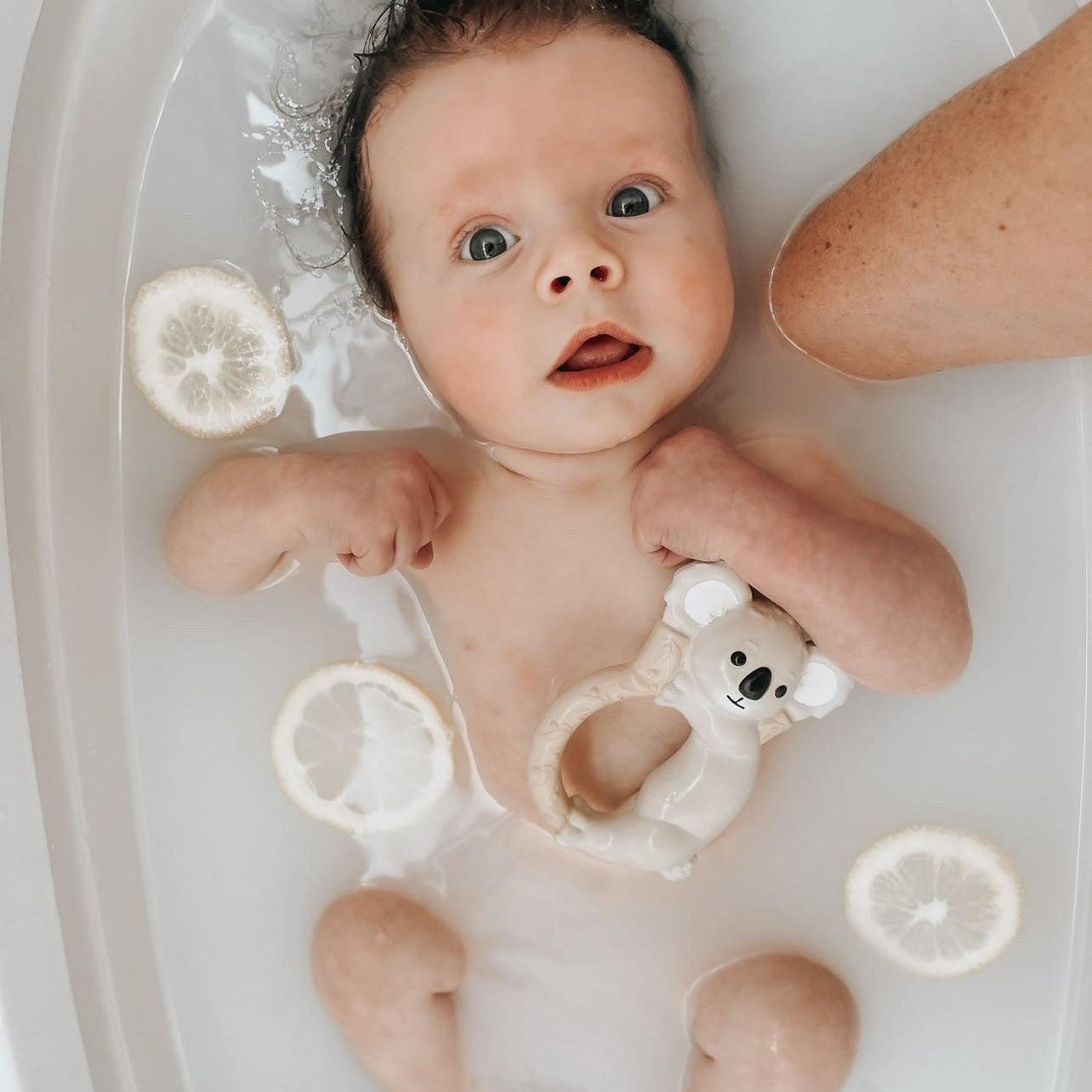 PREORDER Koala Natural Rubber Teether